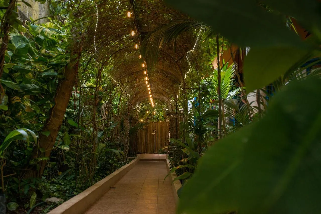 Hacienda Boutique B&B And Spa Solo Adultos Cozumel