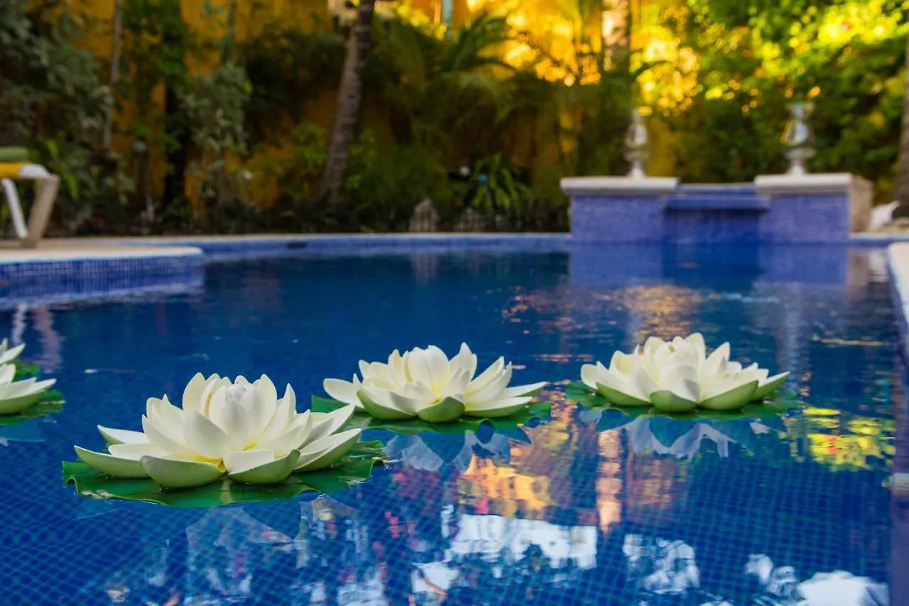 Hacienda Boutique B&B And Spa Solo Adultos Cozumel Mexico