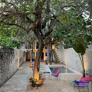 Hotelito Yum Kaax Aparthotel Merida