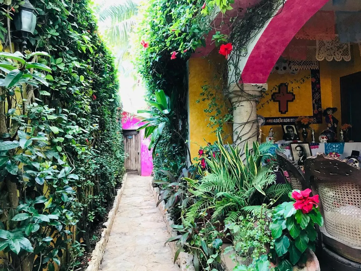 Hacienda Boutique B&B And Spa Solo Adultos Cozumel Mexico