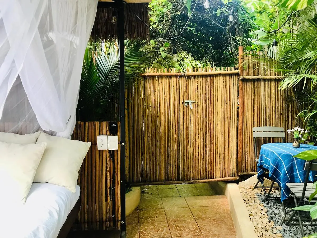 Bed & Breakfast Hacienda Boutique B&B And Spa Solo Adultos Cozumel