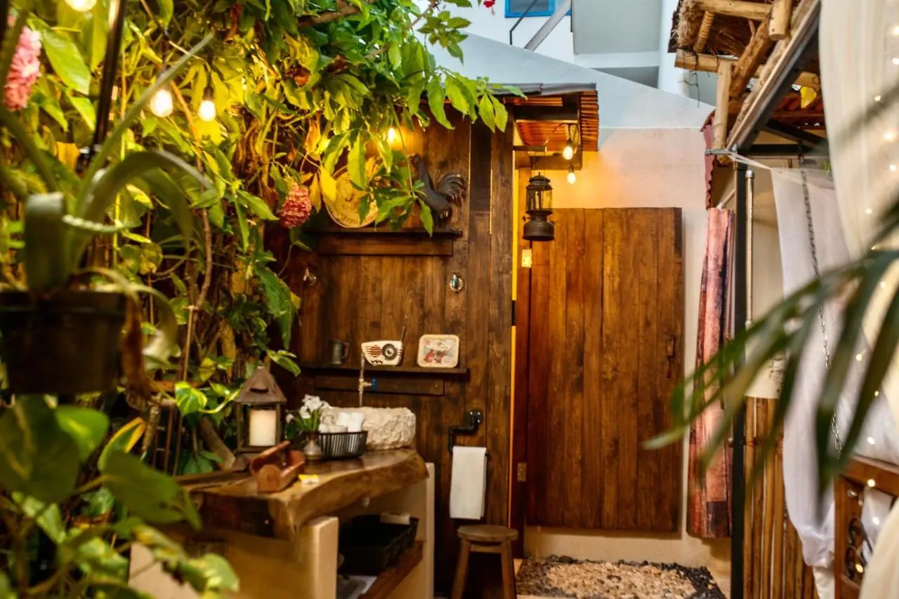 Bed & Breakfast Hacienda Boutique B&B And Spa Solo Adultos Cozumel
