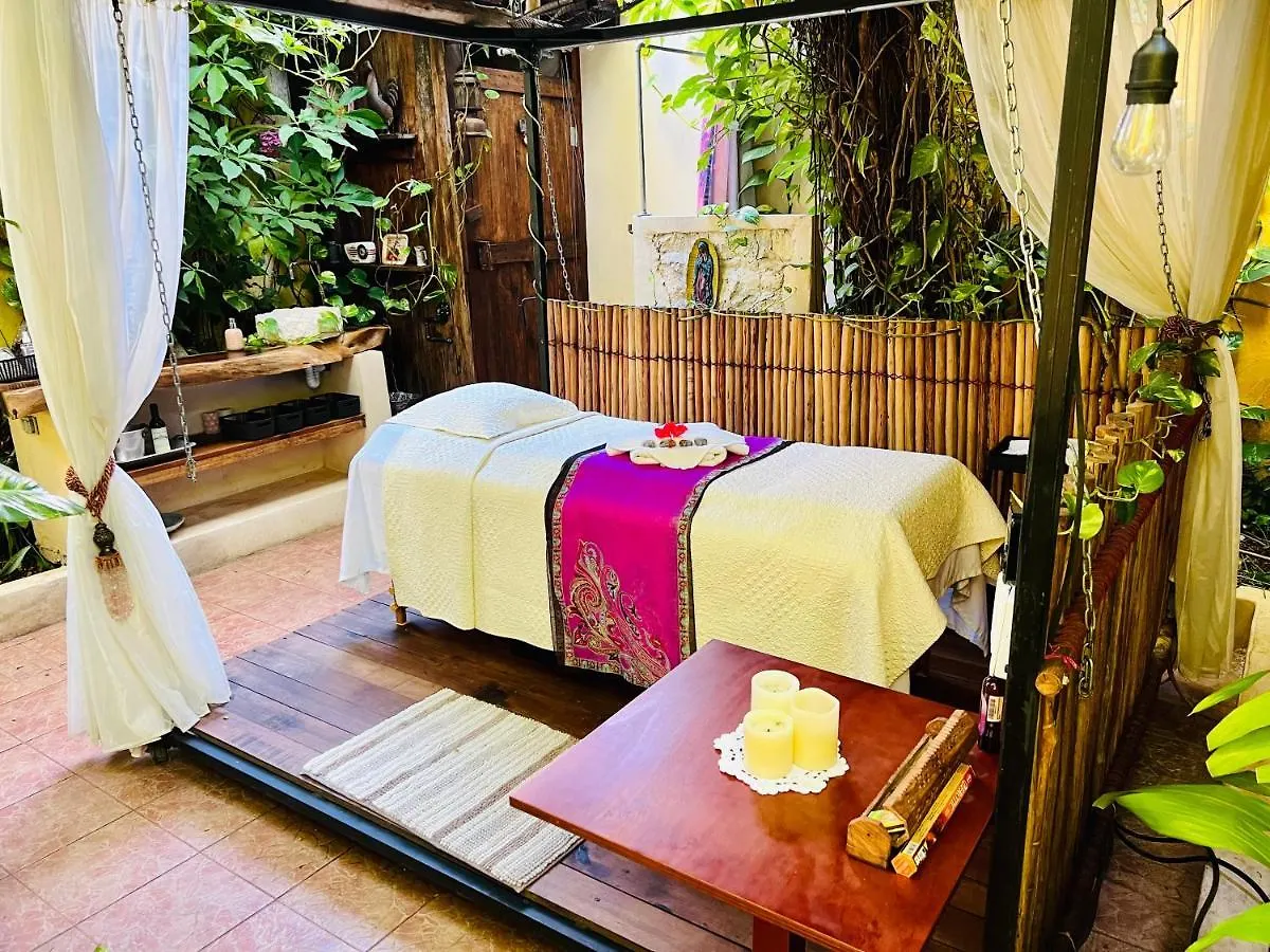 Bed & Breakfast Hacienda Boutique B&B And Spa Solo Adultos Cozumel Mexico